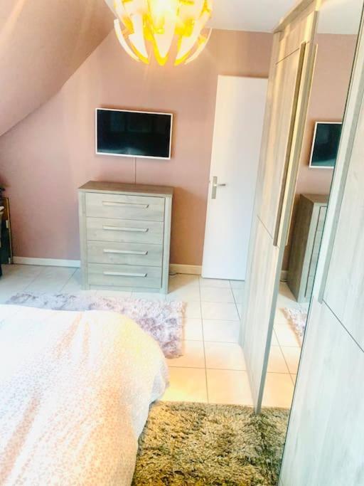 Charmant Appartement 2 Pieces Mundolsheim ภายนอก รูปภาพ